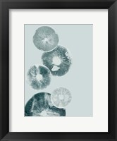 Framed Mushroom Light Teal