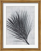 Framed Palm 1 Grey