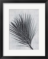 Framed Palm 1 Grey