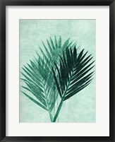 Framed Palm 4 Green
