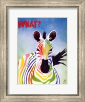 Framed What Zebra