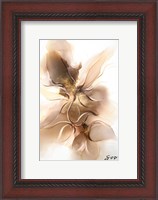 Framed Golden Orchid
