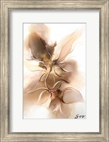 Framed Golden Orchid