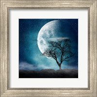 Framed Moon Blues