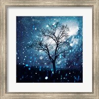 Framed Miracle Tree