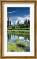 Framed Alaska, Mount McKinley