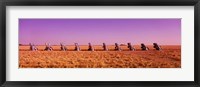 Framed Cars In The Ground, Cadillac Ranch, Texas