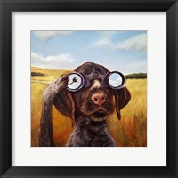 Framed Bird Dog