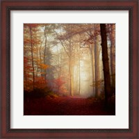 Framed Fall Hike