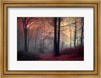 Framed Forest Dream