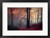 Framed Forest Dream