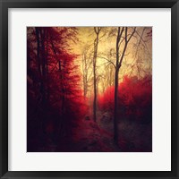 Framed Ruby Red Forest