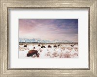 Framed Herds of The Tetons