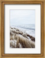Framed Coastal II
