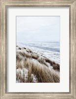 Framed Coastal II