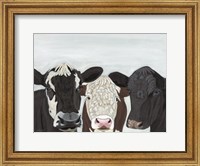 Framed Herd Meeting