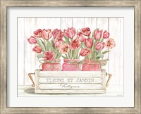 Framed Trio of Pink Tulips
