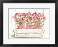Framed Trio of Pink Tulips