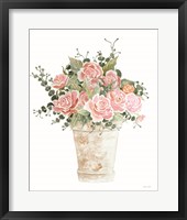 Cotton Candy Roses I Framed Print
