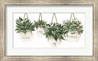 Framed Inspirational Potted Plants