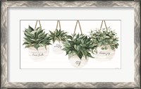 Framed Inspirational Potted Plants