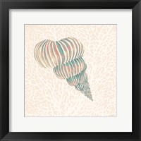 Miami Vibe Seashell 1 Framed Print