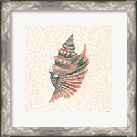 Framed Miami Vibe Seashell 2