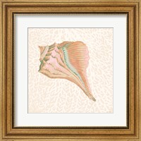 Framed Miami Vibe Seashell 3
