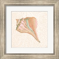 Framed Miami Vibe Seashell 3