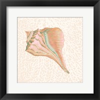Miami Vibe Seashell 3 Framed Print