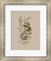 Framed Cream Bough I