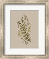 Framed Cream Bough II