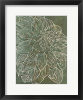 Bud Growth 2 Framed Print