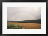 Framed Summer Rainbow