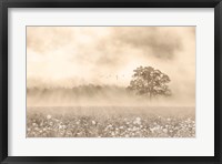 Framed Foggy Wildflower Field