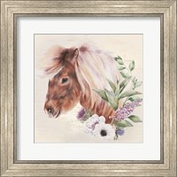 Framed Paisley the Pony