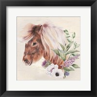 Framed Paisley the Pony