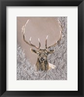 Framed Evander the Winter Elk