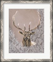 Framed Evander the Winter Elk