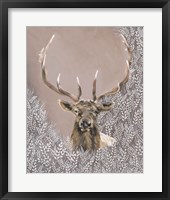 Evander the Winter Elk Framed Print