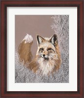 Framed Fraser the Winter Fox