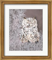 Framed Oliver the Winter Owl