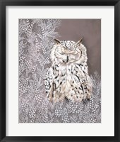 Oliver the Winter Owl Framed Print
