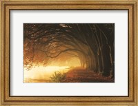 Framed Autumn Sunrise