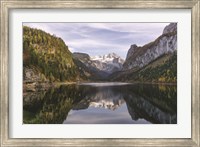 Framed Nature's Beauty