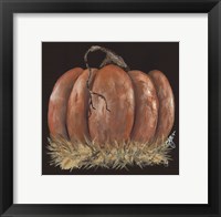 Framed Pumpkin Study