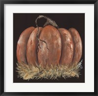 Framed Pumpkin Study