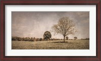 Framed Spring in the Fields