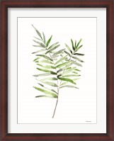 Framed Leafy Stem 1