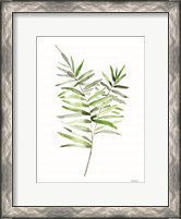 Framed Leafy Stem 1